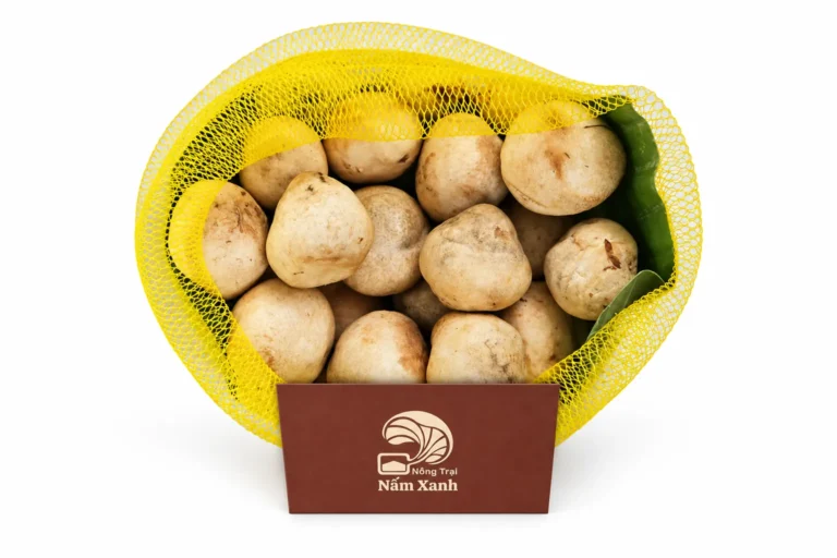 Nấm Rơm Tươi (Búp) Nấm Rơm Tươi (Búp)