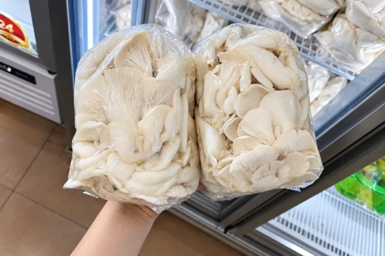 Nấm Sò Trắng Tươi Nấm Sò Trắng Tươi